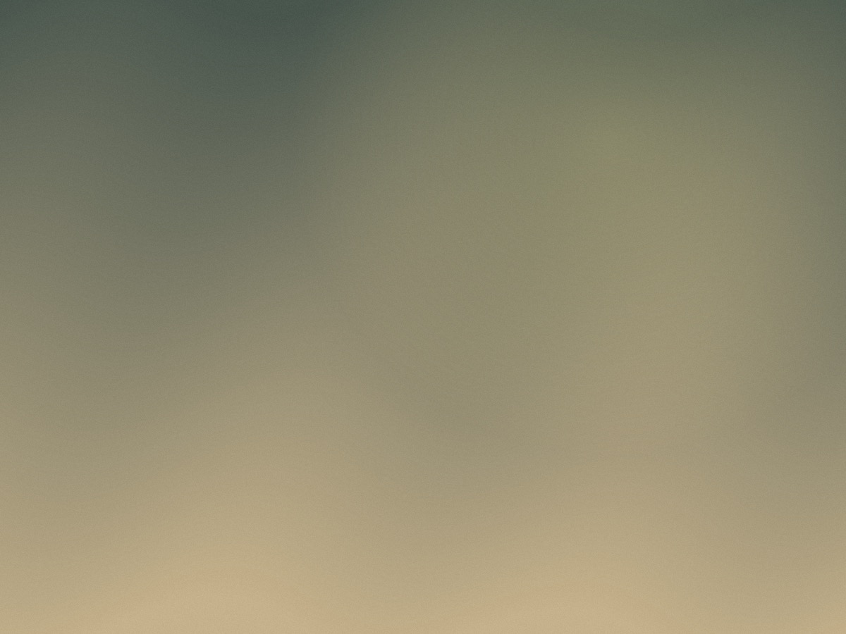 Avi portrait placeholder