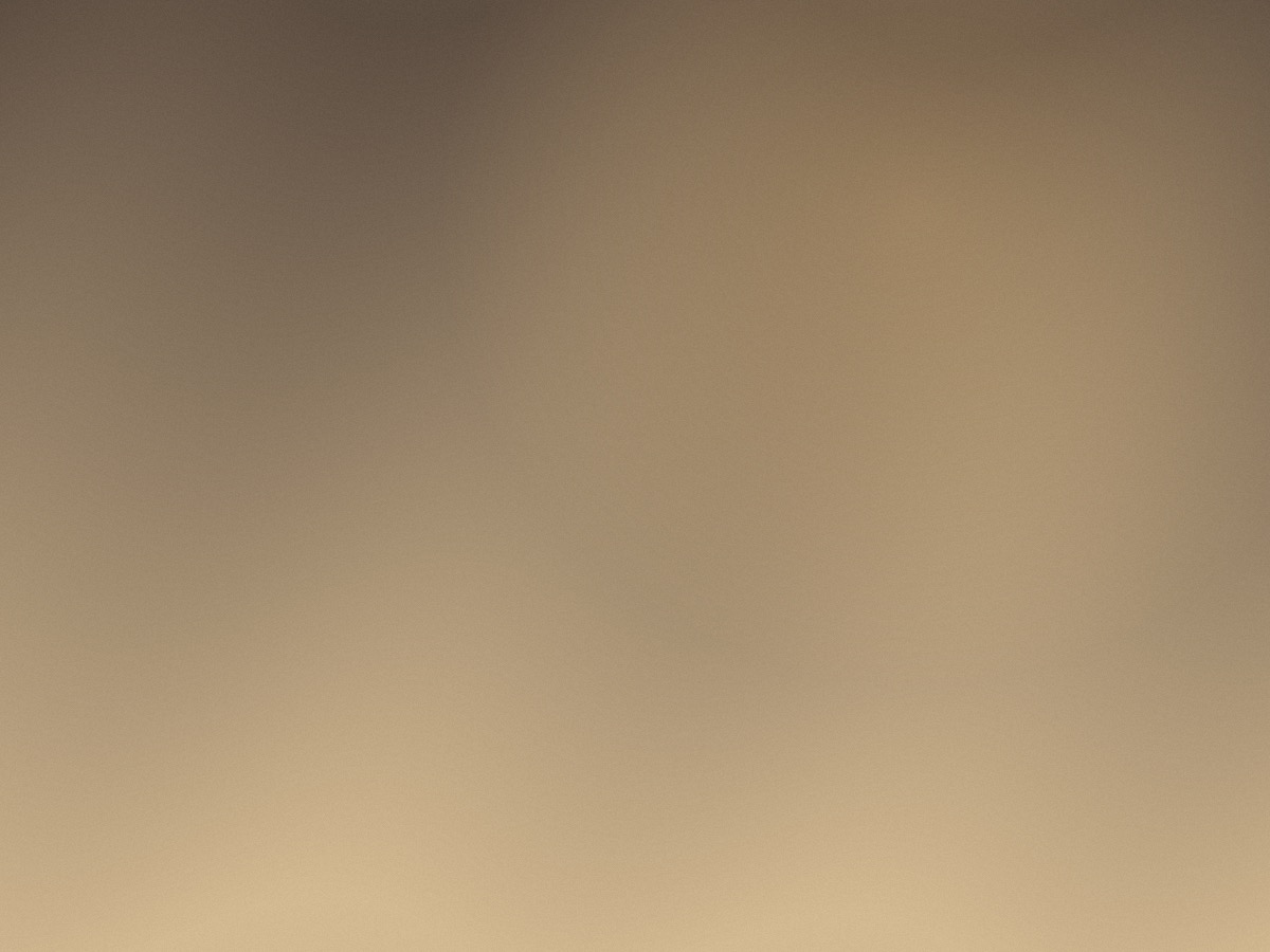Sega portrait placeholder